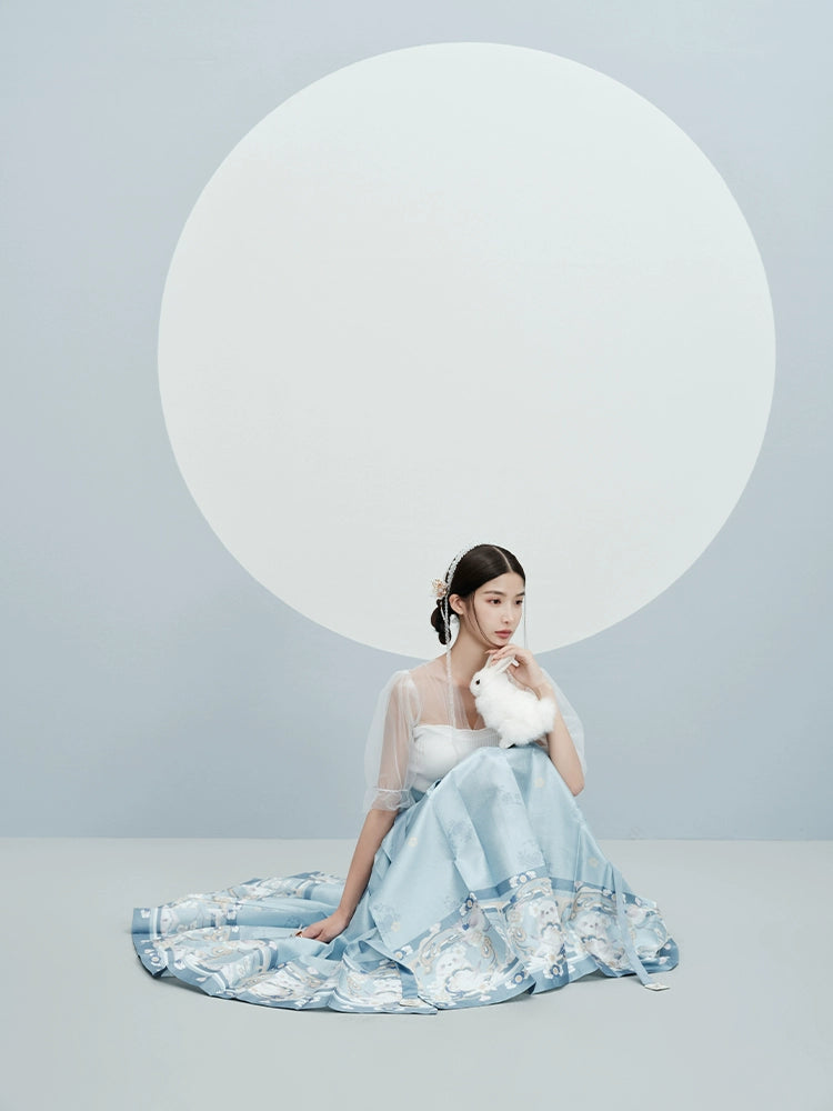 "玉面山雀" Ming-style Printed Hanfu Dress