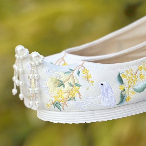 Tang Dynasty-style Ancient Chinese Embroidered Cloth Shoes